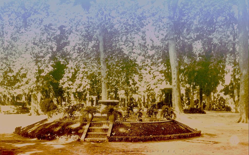 Sidi-bel-abbes 535- Jardin.jpg